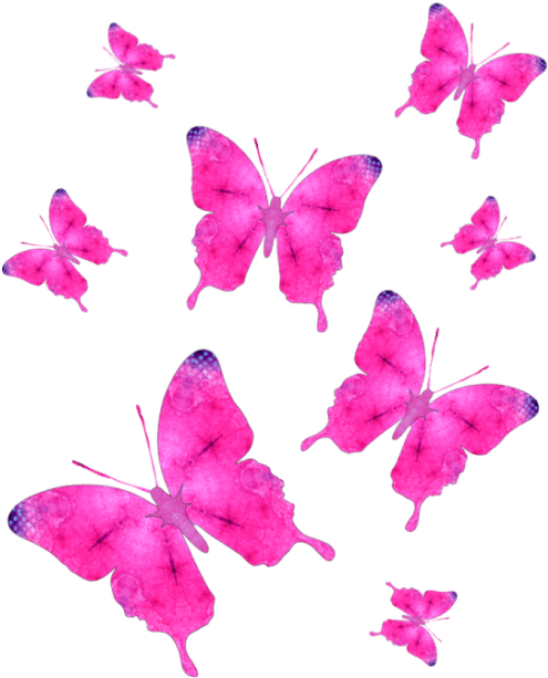 I Got A Little Crazy One Day, And Made A Bunch Of Butterflies - Group Of Pink Butterfly Png (550x688), Png Download