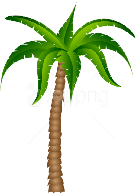 Free Png Download Palm Tree Transparent Picture Png - Palm Tree With No Background (480x648), Png Download