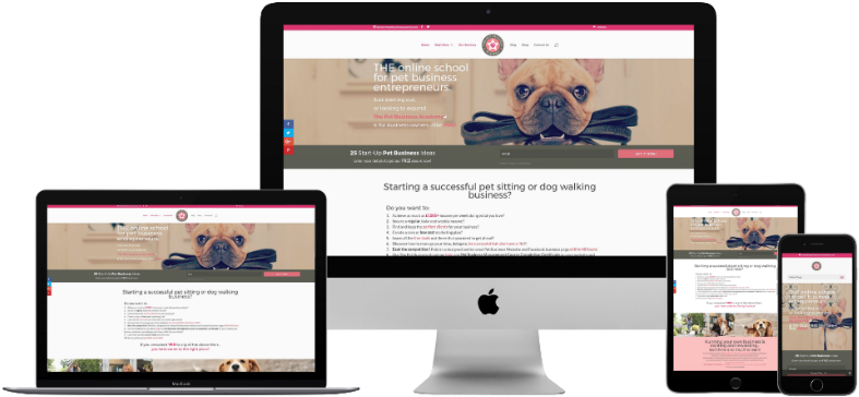 By Admin - Website (800x384), Png Download