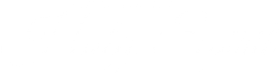 School School Life/parent Student Handbook Holy Spirit - Twitter White Bird Logo (1024x369), Png Download