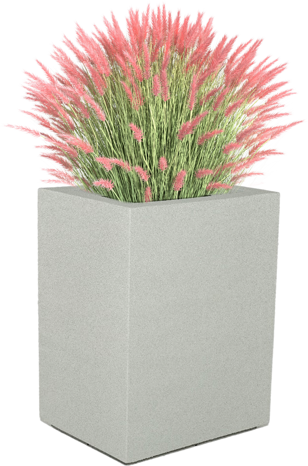 Shop Now - Flower Bush For Rendering (631x953), Png Download