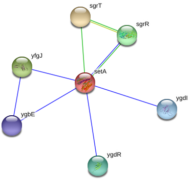 Circle (975x387), Png Download