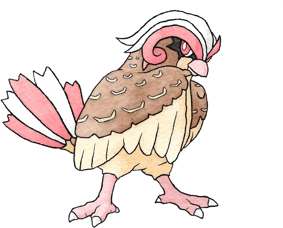 The New 151 - Domesticated Turkey (1000x908), Png Download