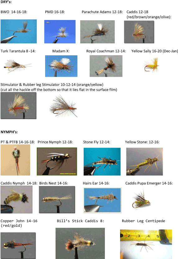 Animal (600x852), Png Download