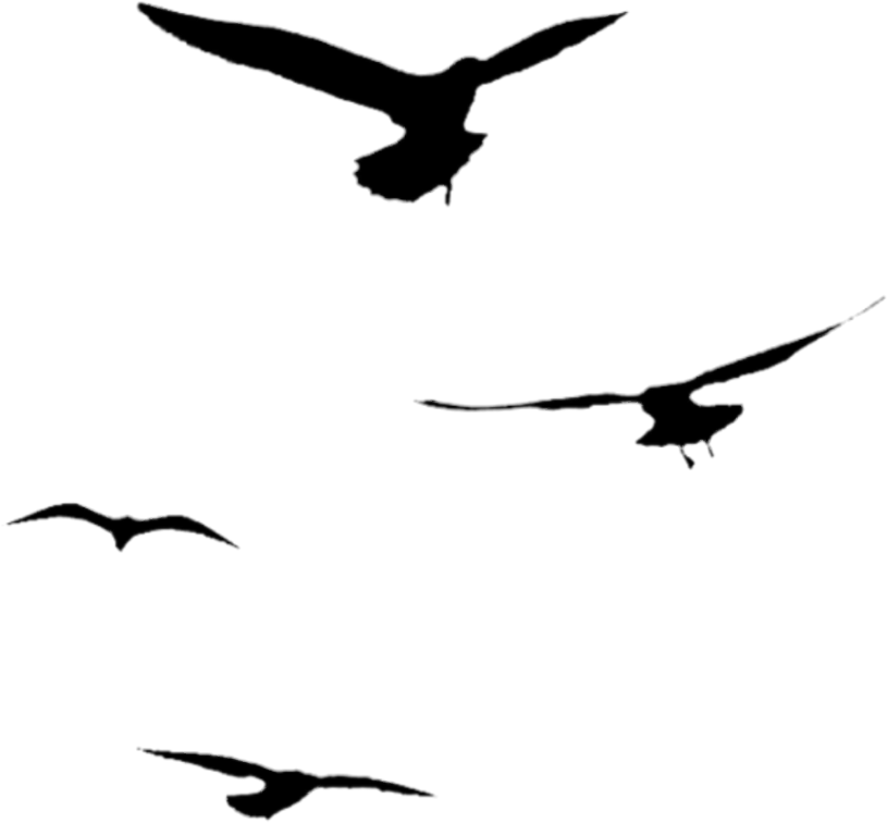Silhouette Sticker - Flight (1024x1024), Png Download