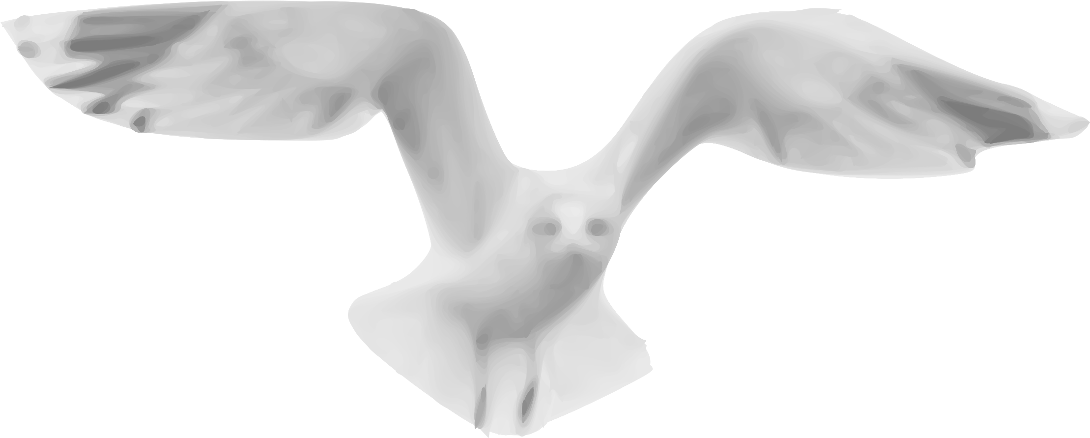 This Free Icons Png Design Of Seagull 01 (2400x1000), Png Download