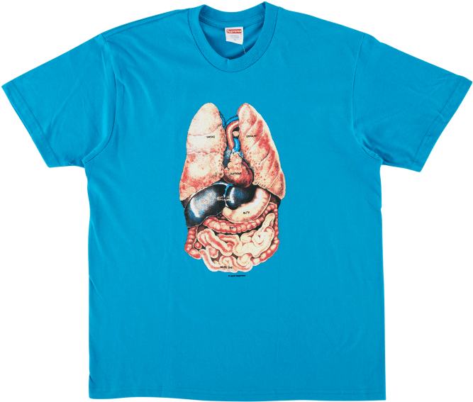 Supreme F W 18 Guts Tee (1000x600), Png Download