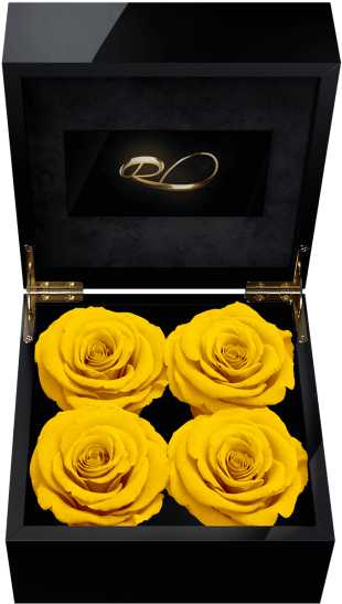 Luxury Video Flower Box Majestic Iv With 4 Preserved - Persian Buttercup (680x680), Png Download