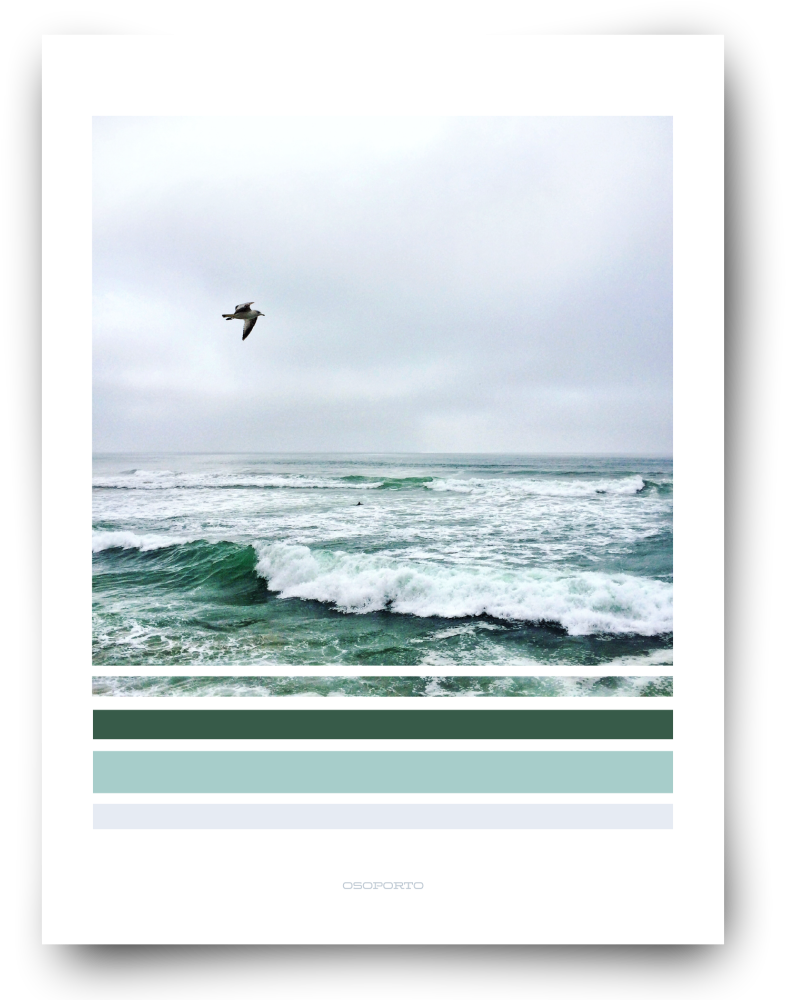 Seagull With Waves Green Graphic Photography Beach - Gull (1000x1000), Png Download