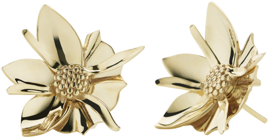 Earrings (1024x1024), Png Download