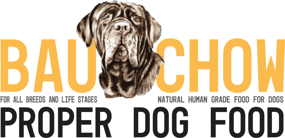 Immunity Foods For Healthy Kids (983x480), Png Download