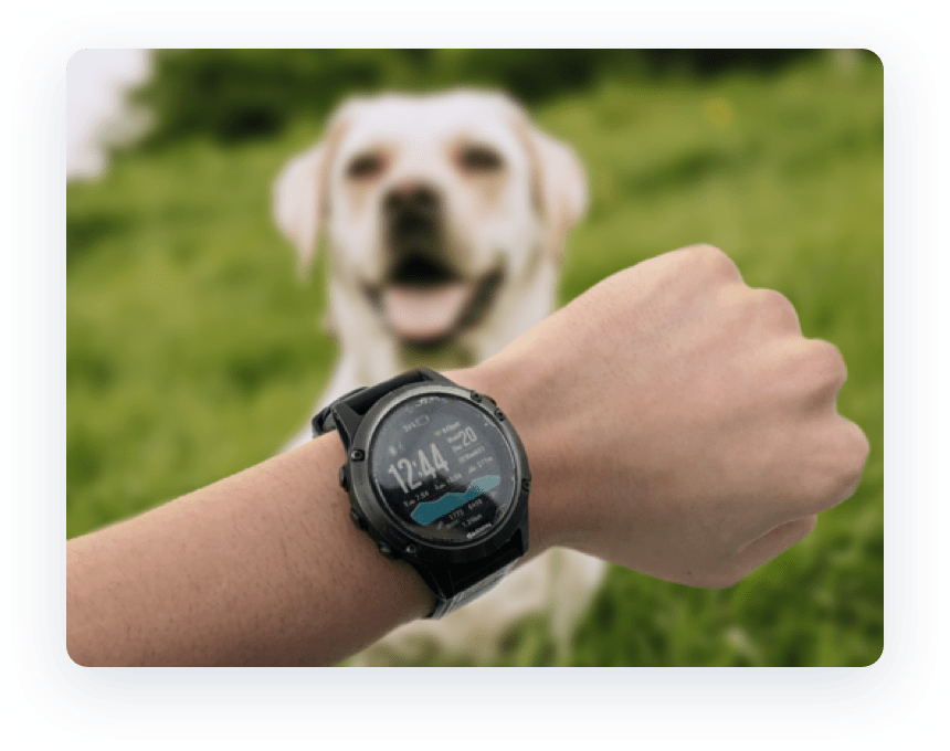 Photo Of Garmin Watch With A Dog - Labrador Retriever (860x680), Png Download