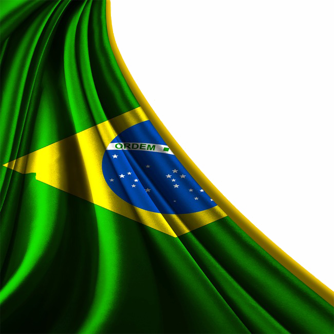 Brazil Flag Transparent Image - Transparent Brazilian Flag Png (650x650), Png Download