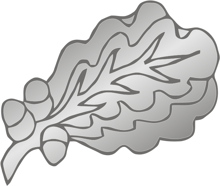 282 × 240 Pixels - Military Oak Leaf Cluster (706x600), Png Download