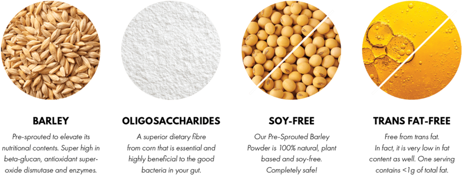Ingredients-01@0,75x - Dinkel Wheat (1000x484), Png Download