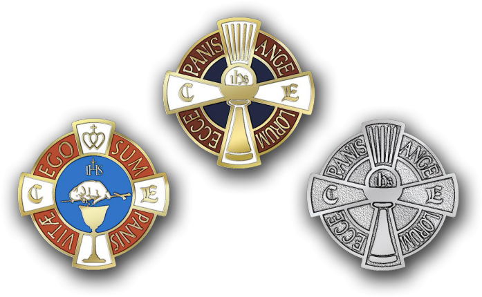 The Crusader - Emblem (800x450), Png Download