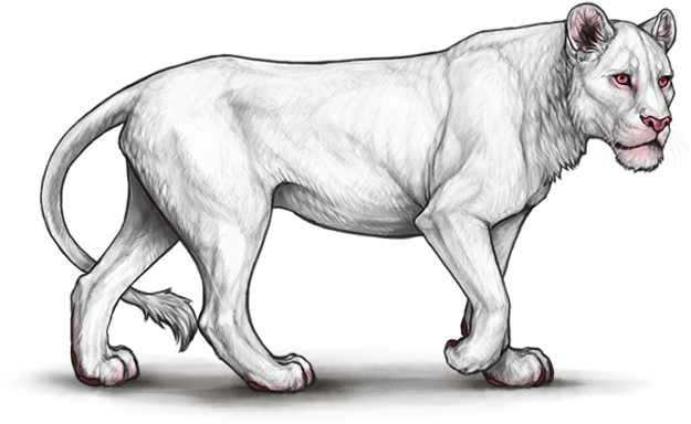 Vhpwvvw - Lioden Neutral Lioness (640x500), Png Download
