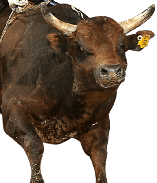 Millennium's Buck - Bull (513x600), Png Download