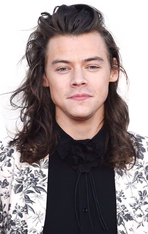 Harry Styles Ama's 2015 Hd (500x790), Png Download