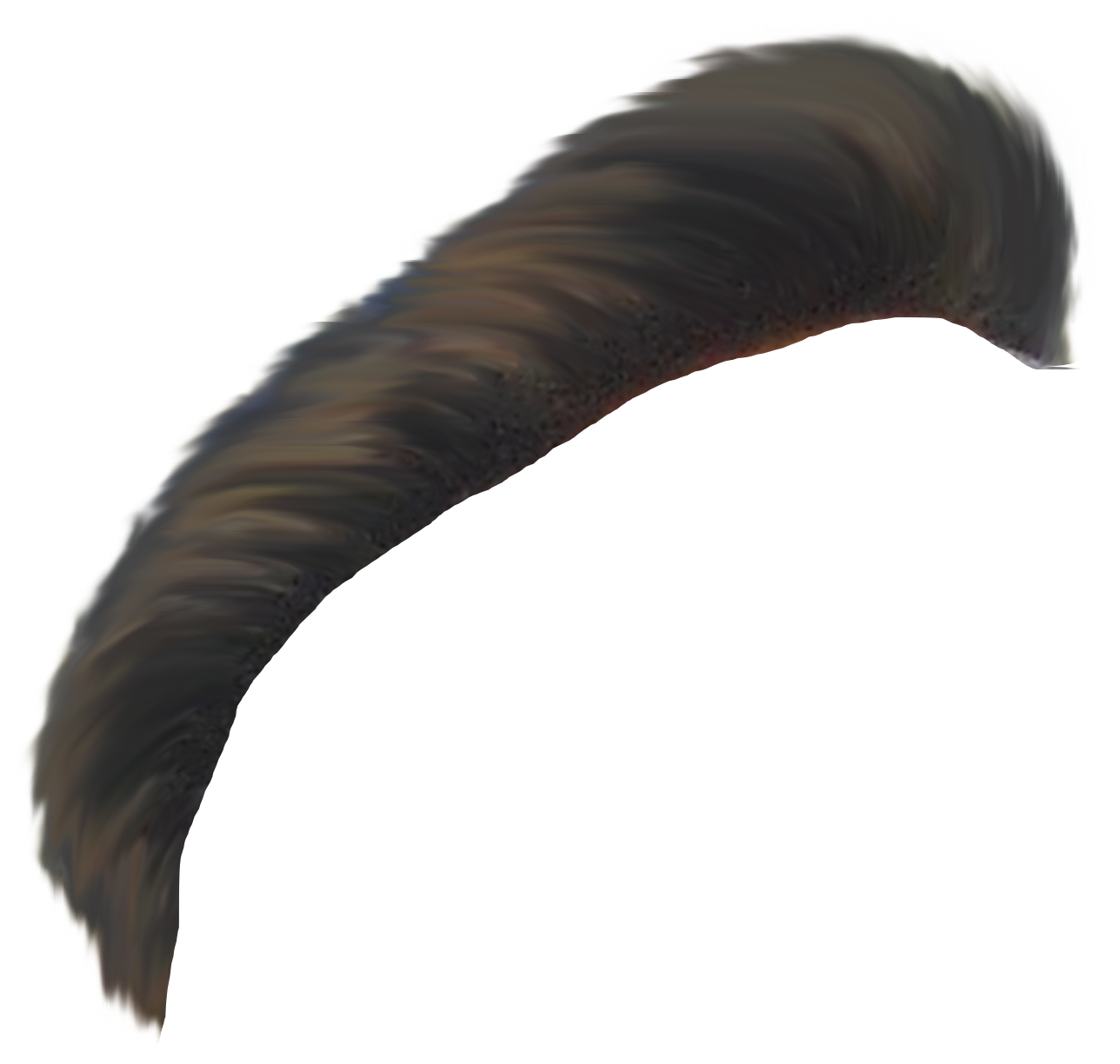 Download Here - Turkey (1288x1224), Png Download