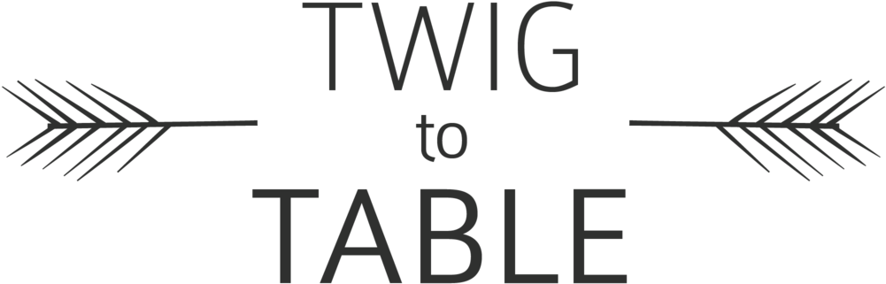 Twig Png (1000x378), Png Download