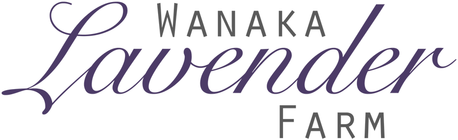 Wanaka Lavender Farm - Calligraphy (1311x427), Png Download