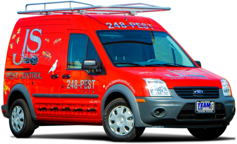 We Will Also Treat The Areas That Spiders Are Most - Compact Van (769x468), Png Download