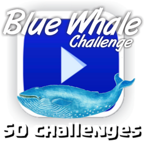 Youtube (590x590), Png Download