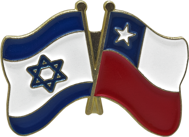 Show You Love Of Chile And Your Commitment To Supporting - Lapel (650x650), Png Download