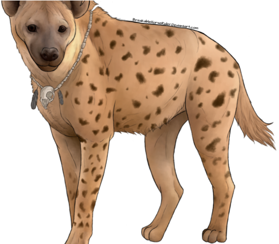 Hyena Clipart Transparent - Hyena Clipart Hd (640x480), Png Download