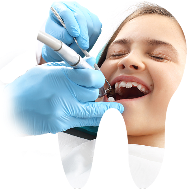Visit Your Dentist Every Six Months To Ensure Early - Dentistry (800x800), Png Download