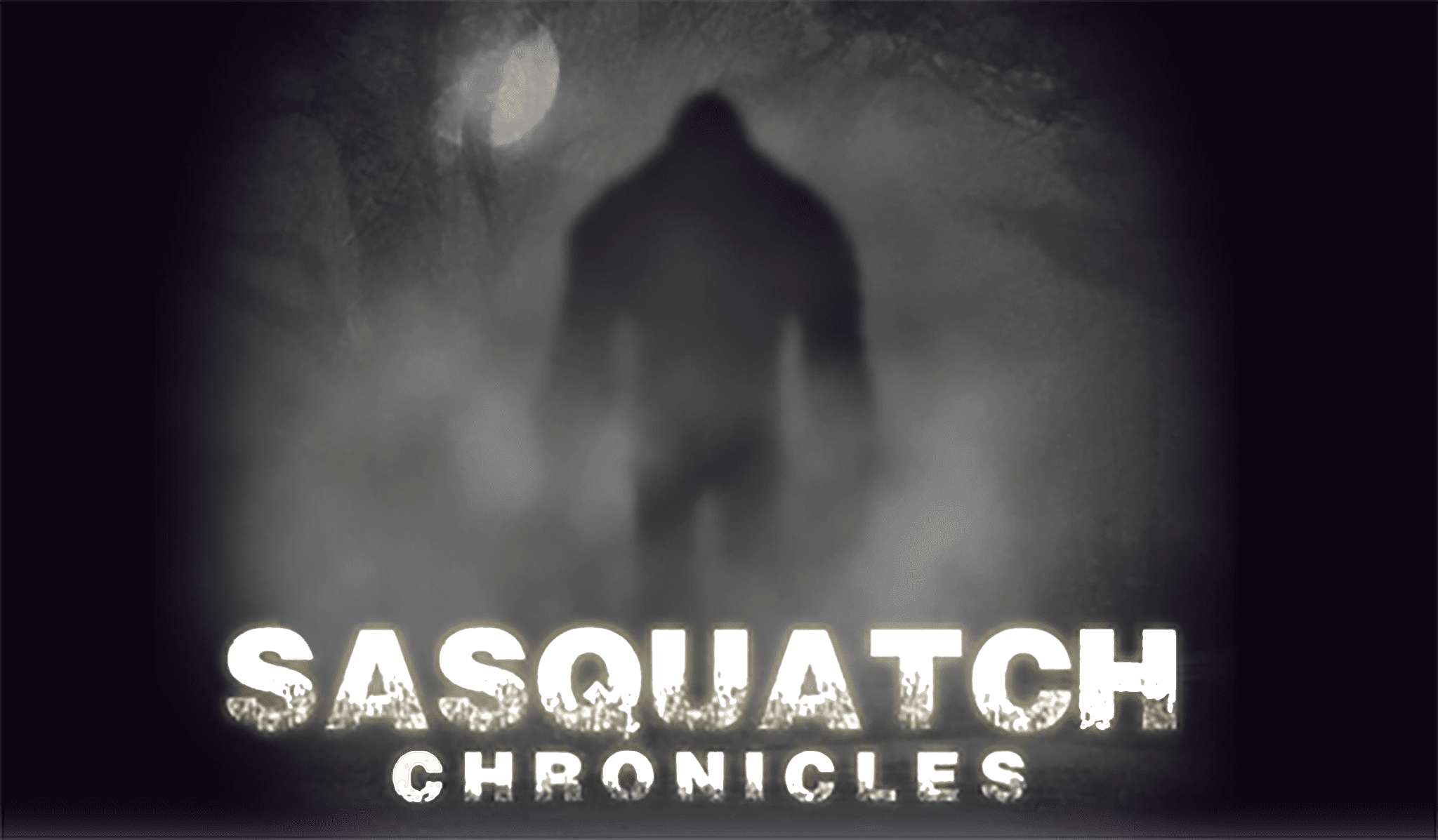 Sasquatch Slide » Sasquatch Slide - Darkness (2048x1197), Png Download
