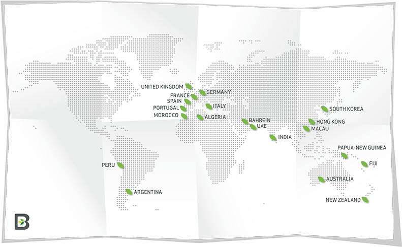 Some Description - Tree (825x583), Png Download