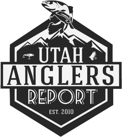 5″x5″ Utah Anglers Report Clear Sticker Pentagon - Illustration (702x702), Png Download
