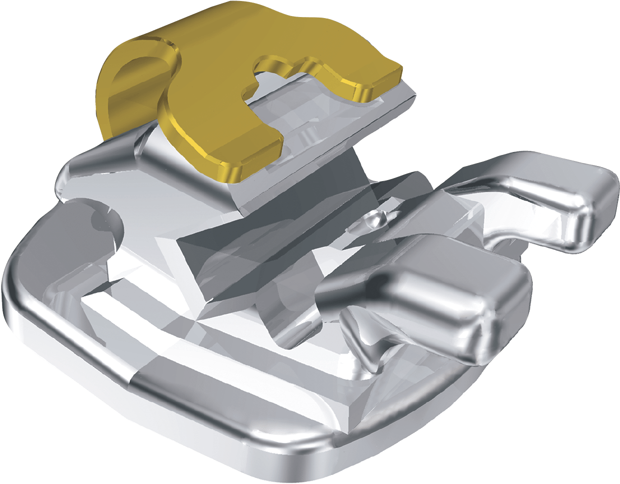 Toad (1260x1260), Png Download