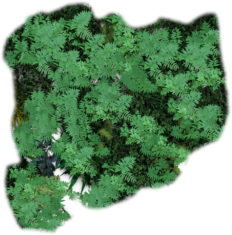 Junglepatch1 - Jungle Tiles (795x804), Png Download