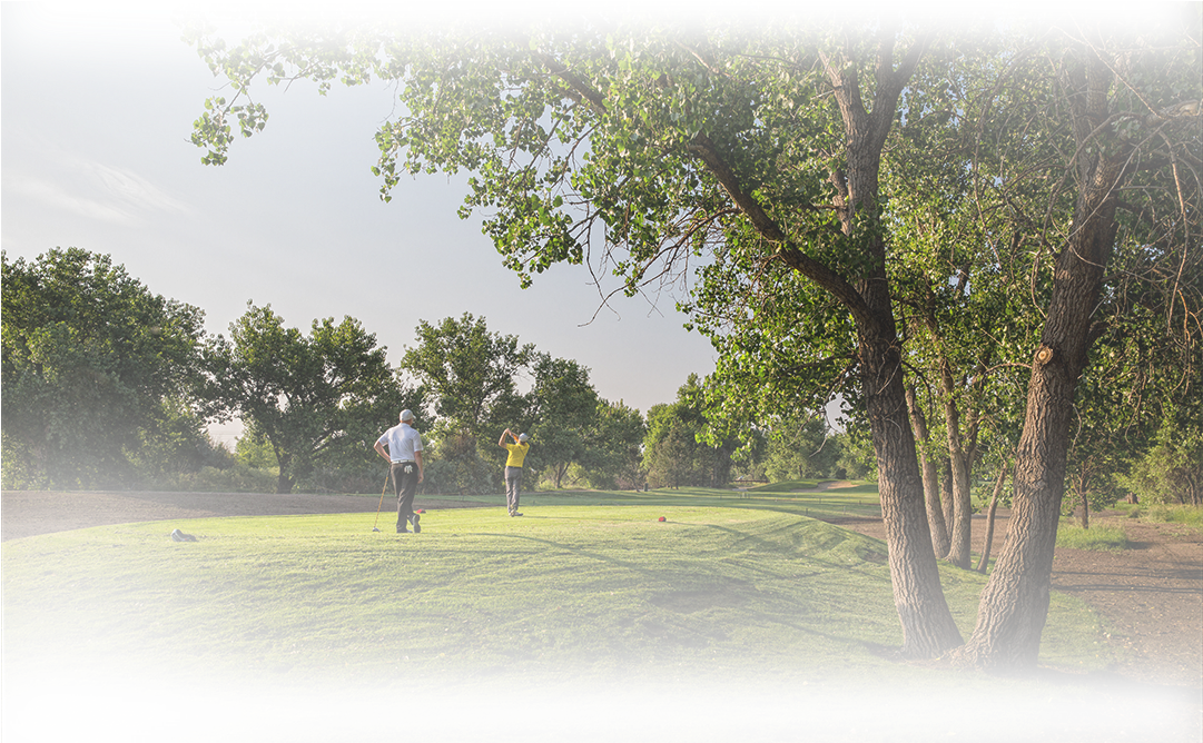 Golfers Walking On Green - Tree (1080x720), Png Download