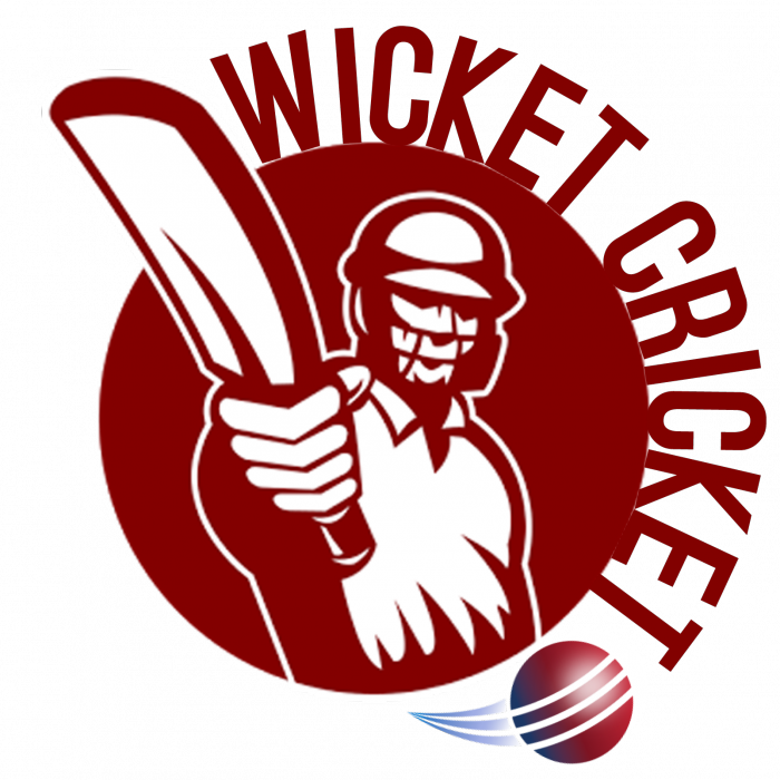 Fired Up For The World Cup - Cricket Logo Png (700x700), Png Download