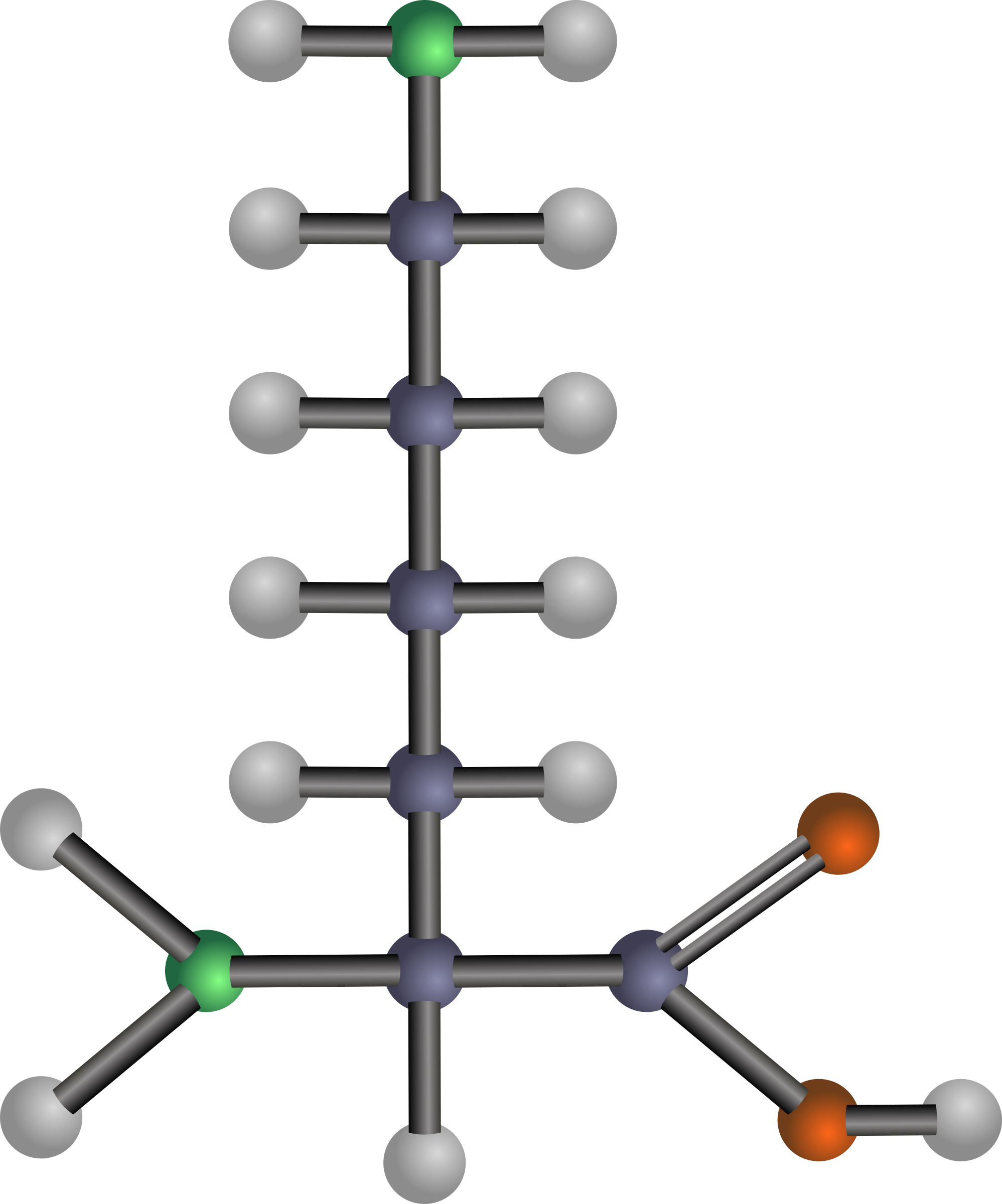 Big Image - Model Of Amino Acid (1997x2400), Png Download