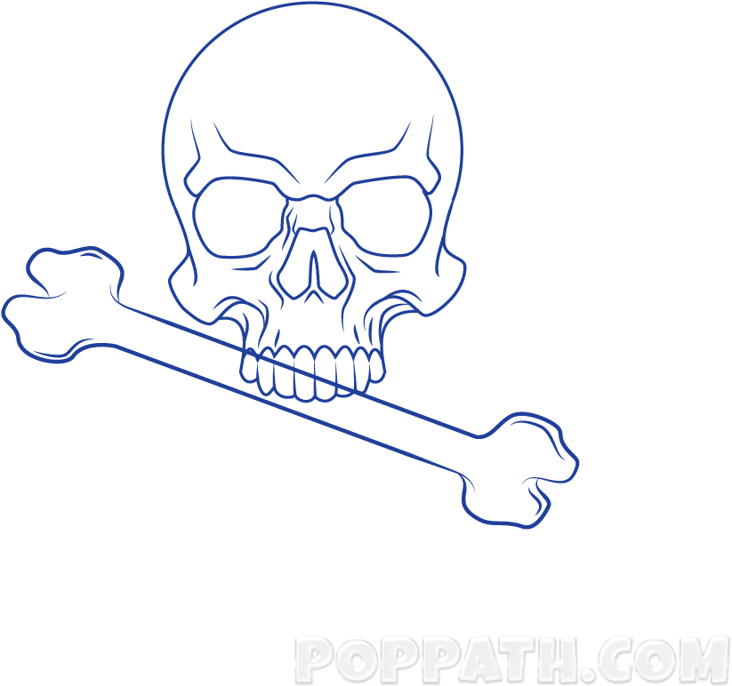 Play Slideshow - Skull (1000x1000), Png Download