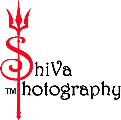 Tree#png - Shiv Photography Logo Png (750x525), Png Download