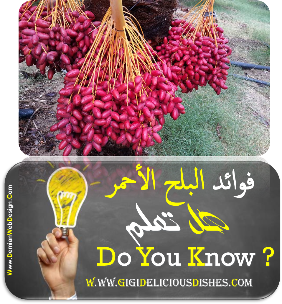 فوائد البلح فوائد البلح الاحمر - Fruit (995x1059), Png Download