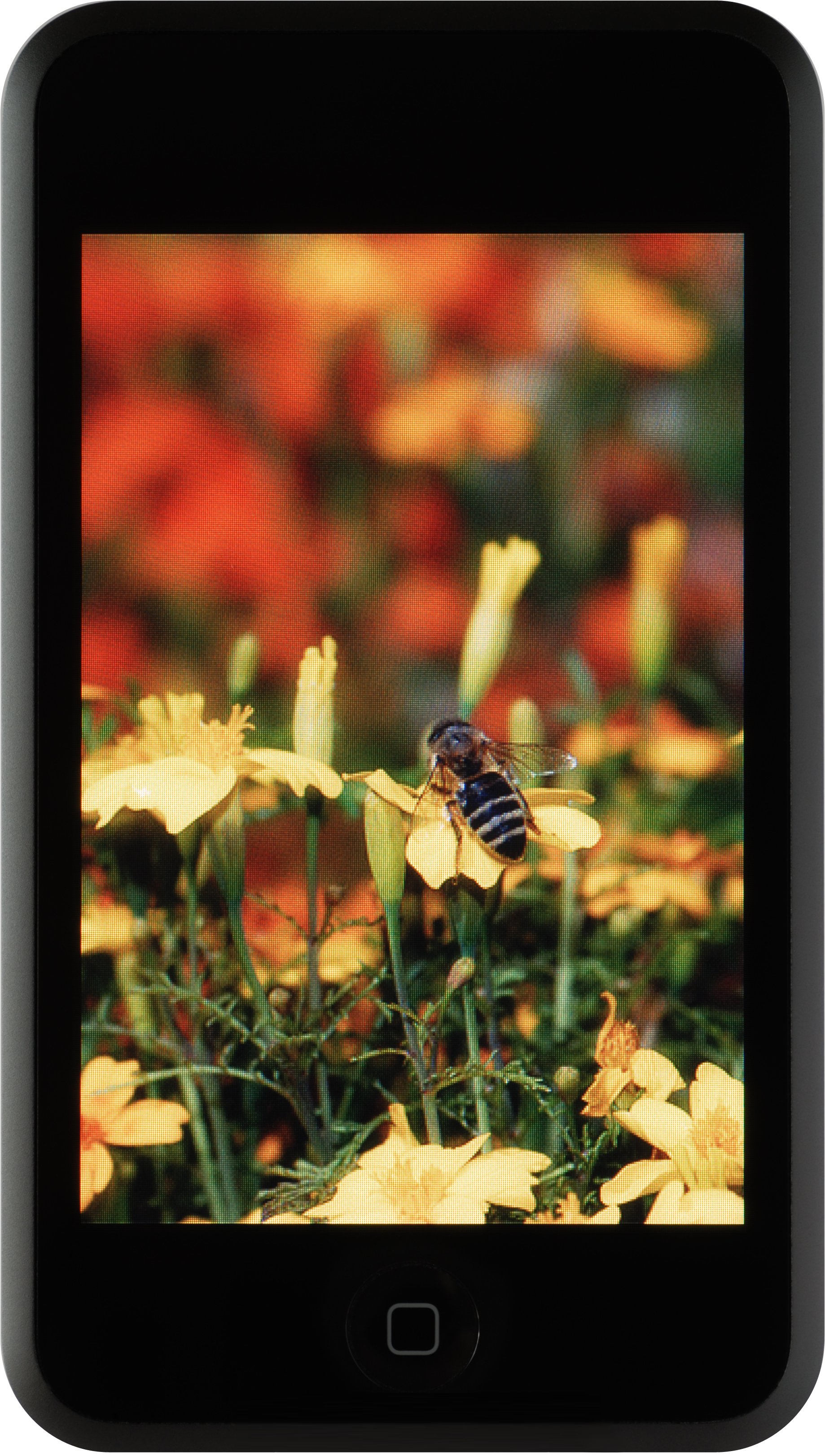 Ipod Touch Nobg - Tablet Computer (2111x3456), Png Download