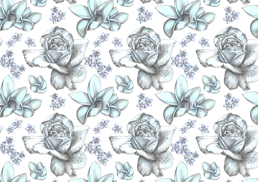 Alice Biglietto A4 - Sketch (842x596), Png Download