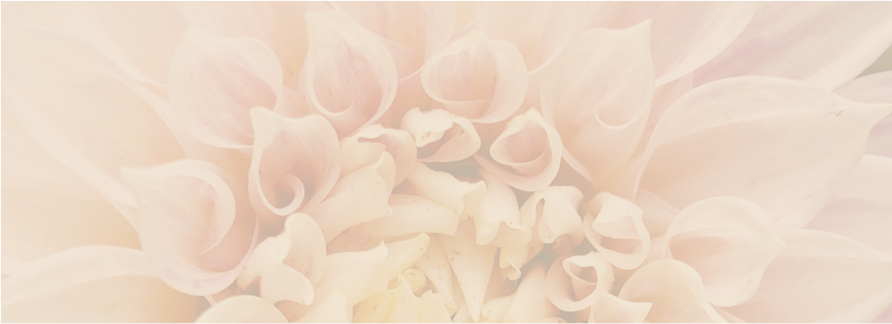 Dahlia Landing Pg (1000x471), Png Download