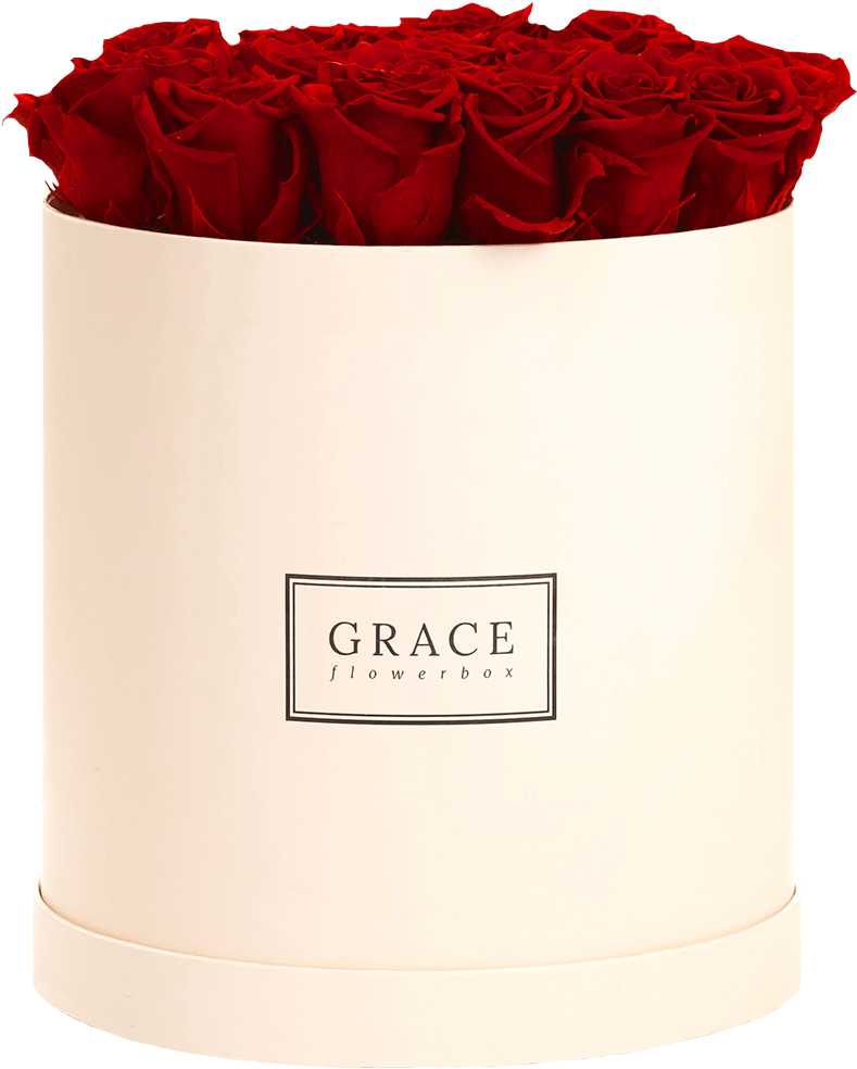 Garden Roses (937x1200), Png Download