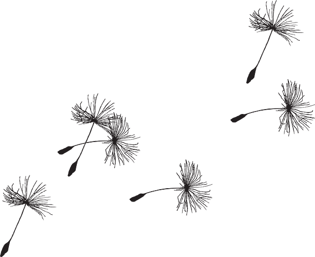 Free Vector Graphic - Dandelion Seed Tattoo Design (640x523), Png Download