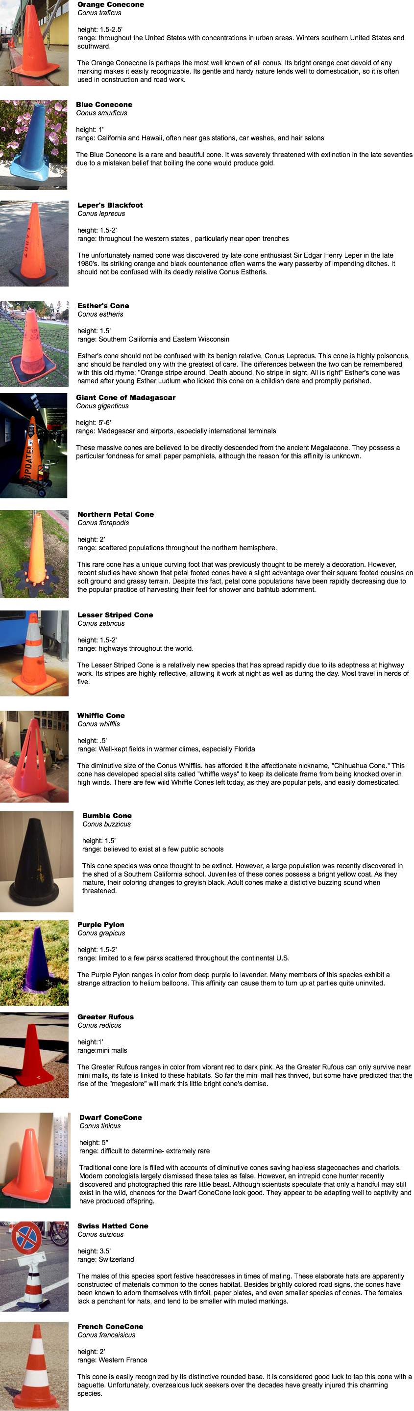Traffic Cone Preservation Society - Triangle (845x2875), Png Download