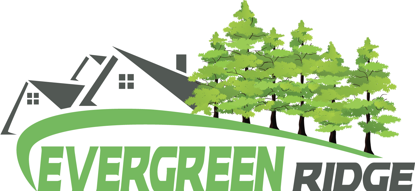About Evergreen Ridge Estates - Christmas Tree (1560x670), Png Download