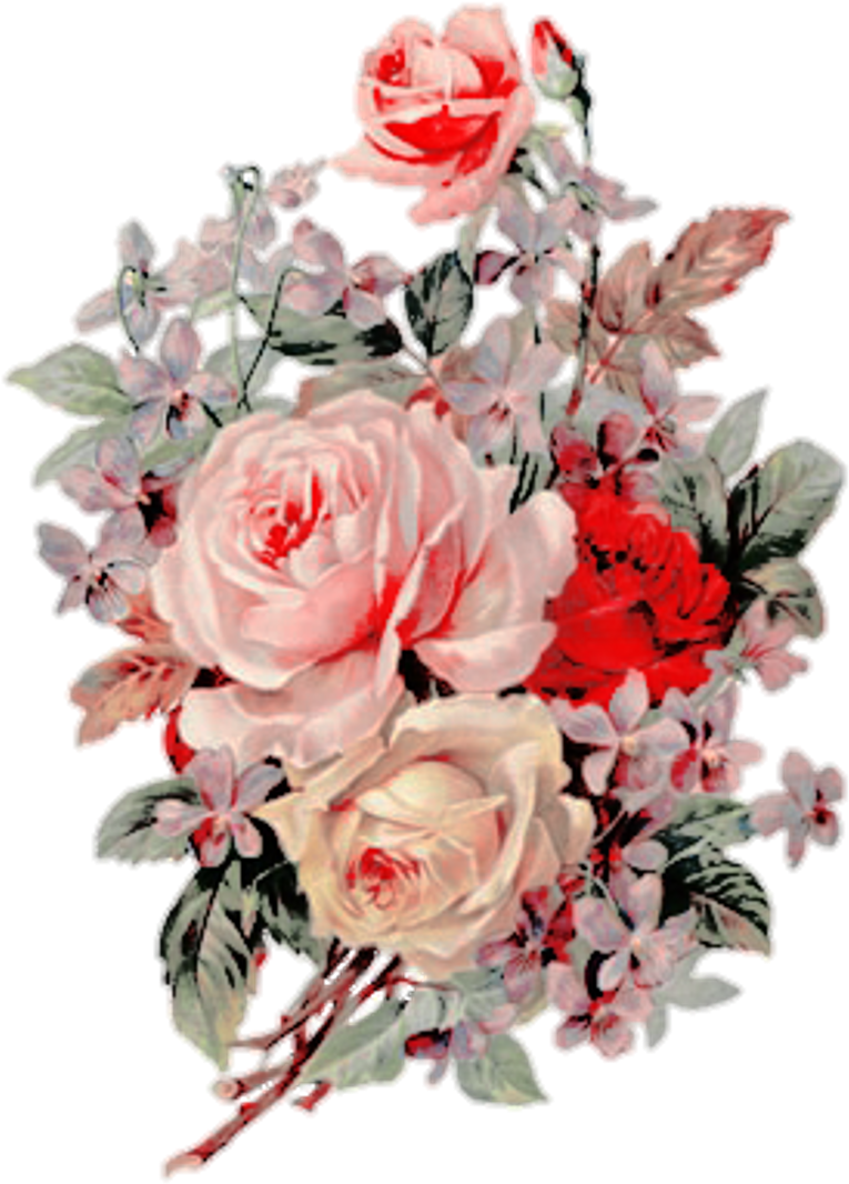 #flowers #red #pink #vintage #overlay #overlays #edit - Vintage Flowers Transparent Background (1024x1191), Png Download